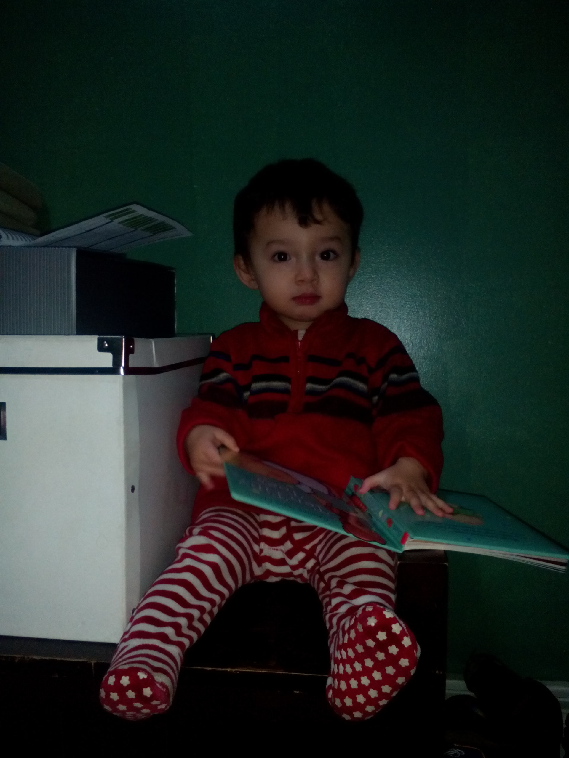 d0181461_152197.jpg
