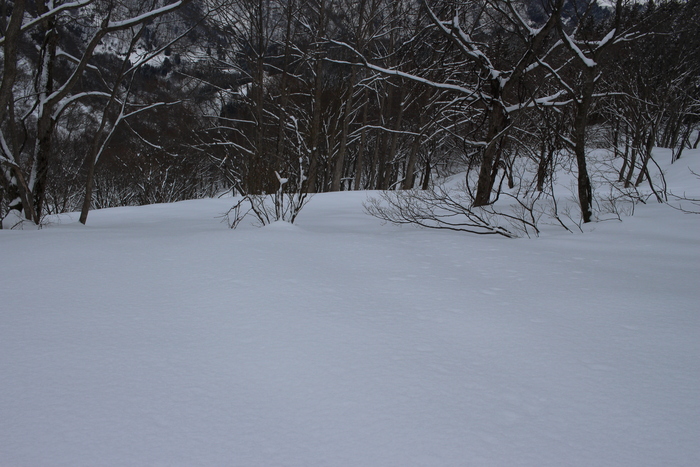 f0223068_759211.jpg