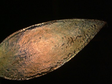 b0052471_20591330.jpg