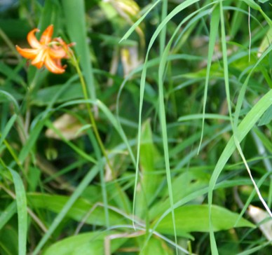 c0144185_11211665.jpg