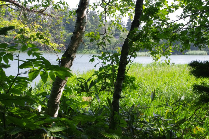c0144185_11325775.jpg
