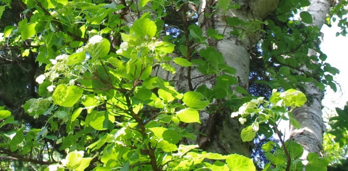 c0144185_11422079.jpg