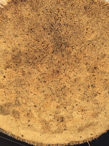 e0007801_20370384.jpg