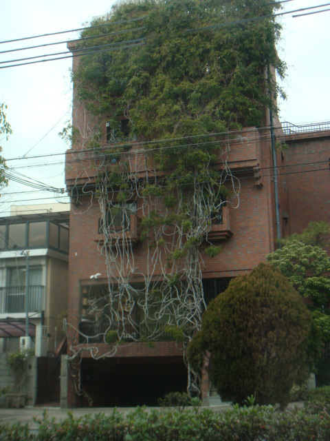 a0019212_18523997.jpg