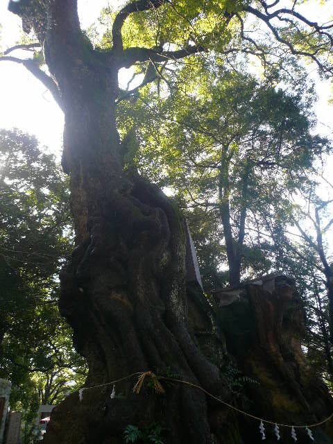 e0026017_1053057.jpg