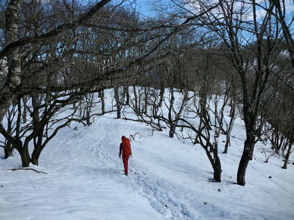 c0210618_18145094.jpg