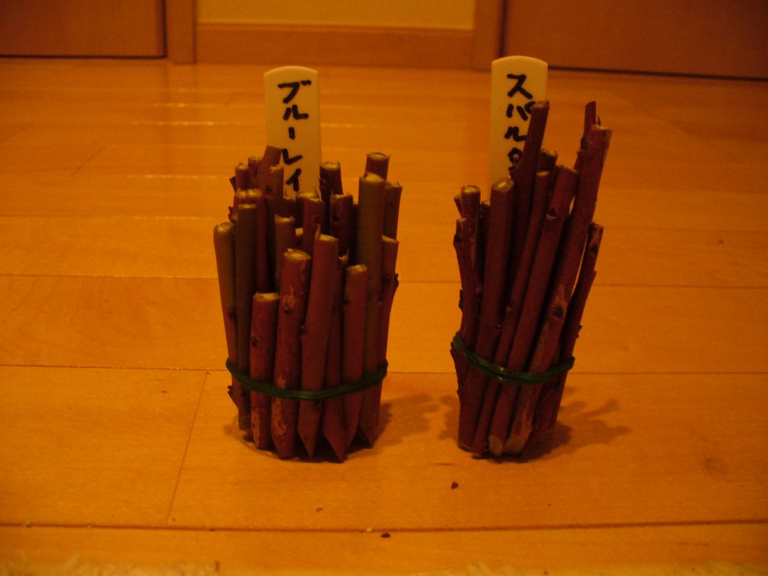 f0346527_22314855.jpg