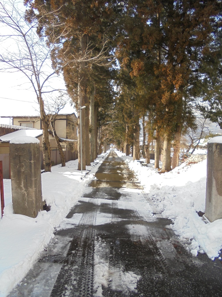 c0111229_1745325.jpg