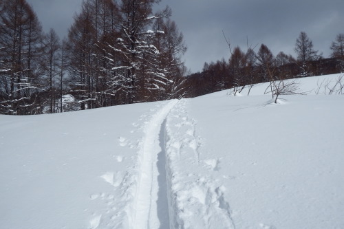 f0118332_22381412.jpg
