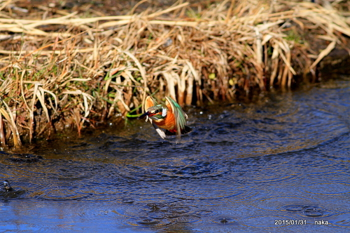 f0281533_17152177.jpg