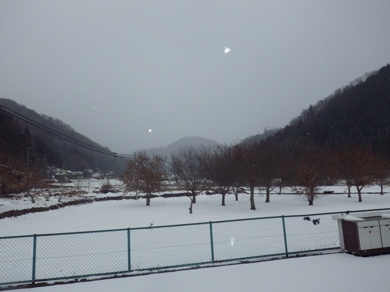 c0300035_1517454.jpg