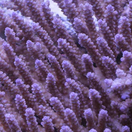 d0221436_23165462.jpg