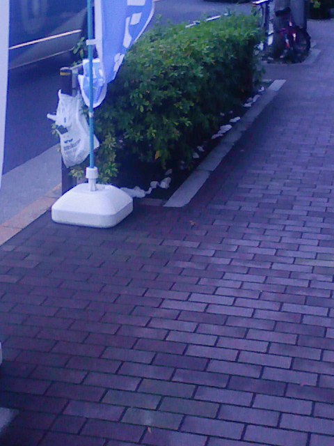 b0031140_2334369.jpg