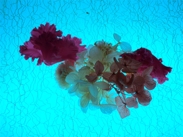 c0047341_1005014.jpg