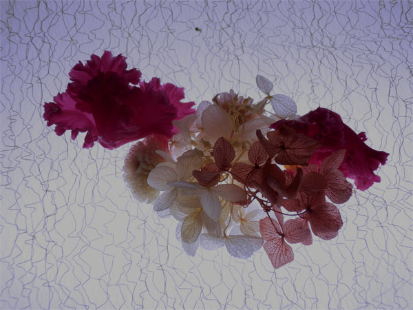 c0047341_1005732.jpg