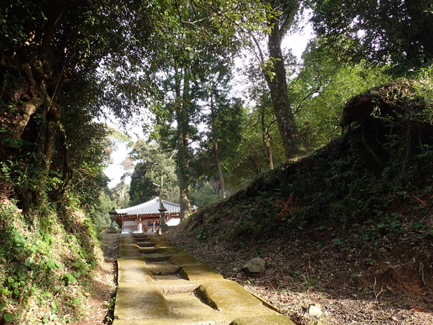 f0214649_4245296.jpg