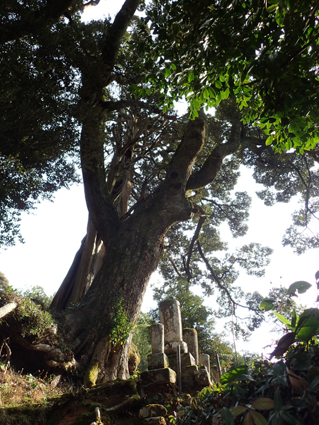 f0214649_440624.jpg