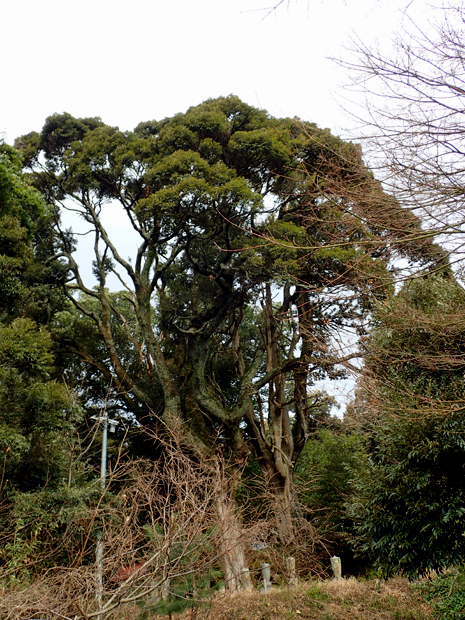 f0214649_4411873.jpg