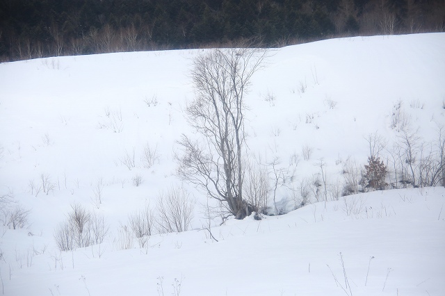f0288049_2321014.jpg