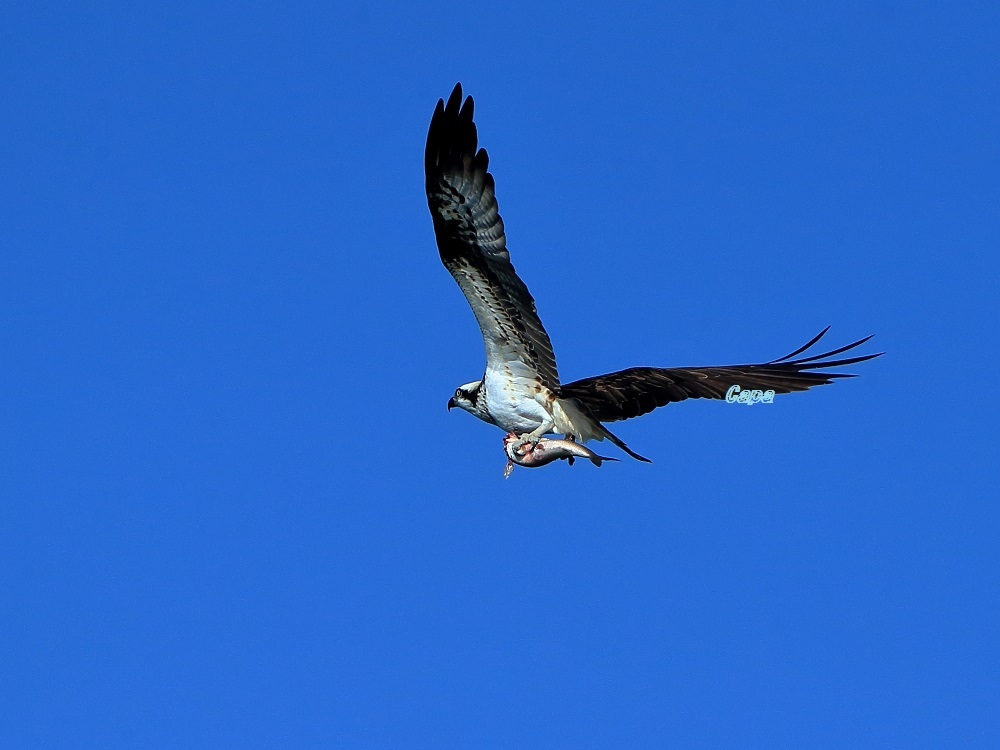 a0330864_20163928.jpg