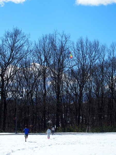 c0122670_23532077.jpg