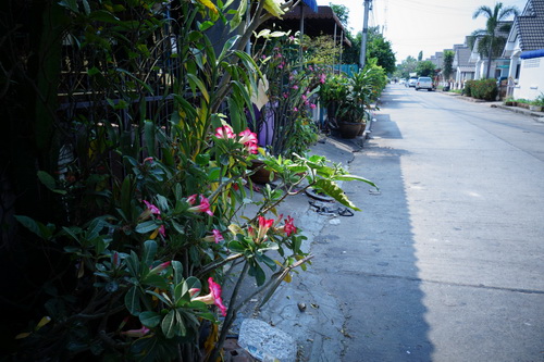 a0002177_1244131.jpg