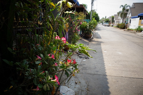 a0002177_12442014.jpg