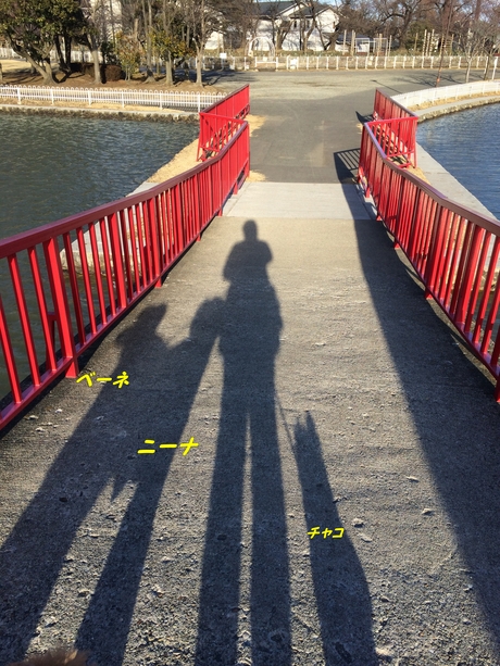 c0283778_188757.jpg