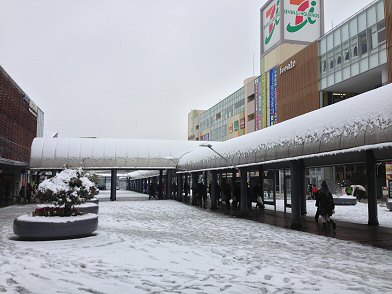 c0014187_2203697.jpg