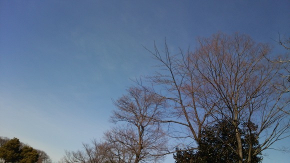 e0115693_17035111.jpg