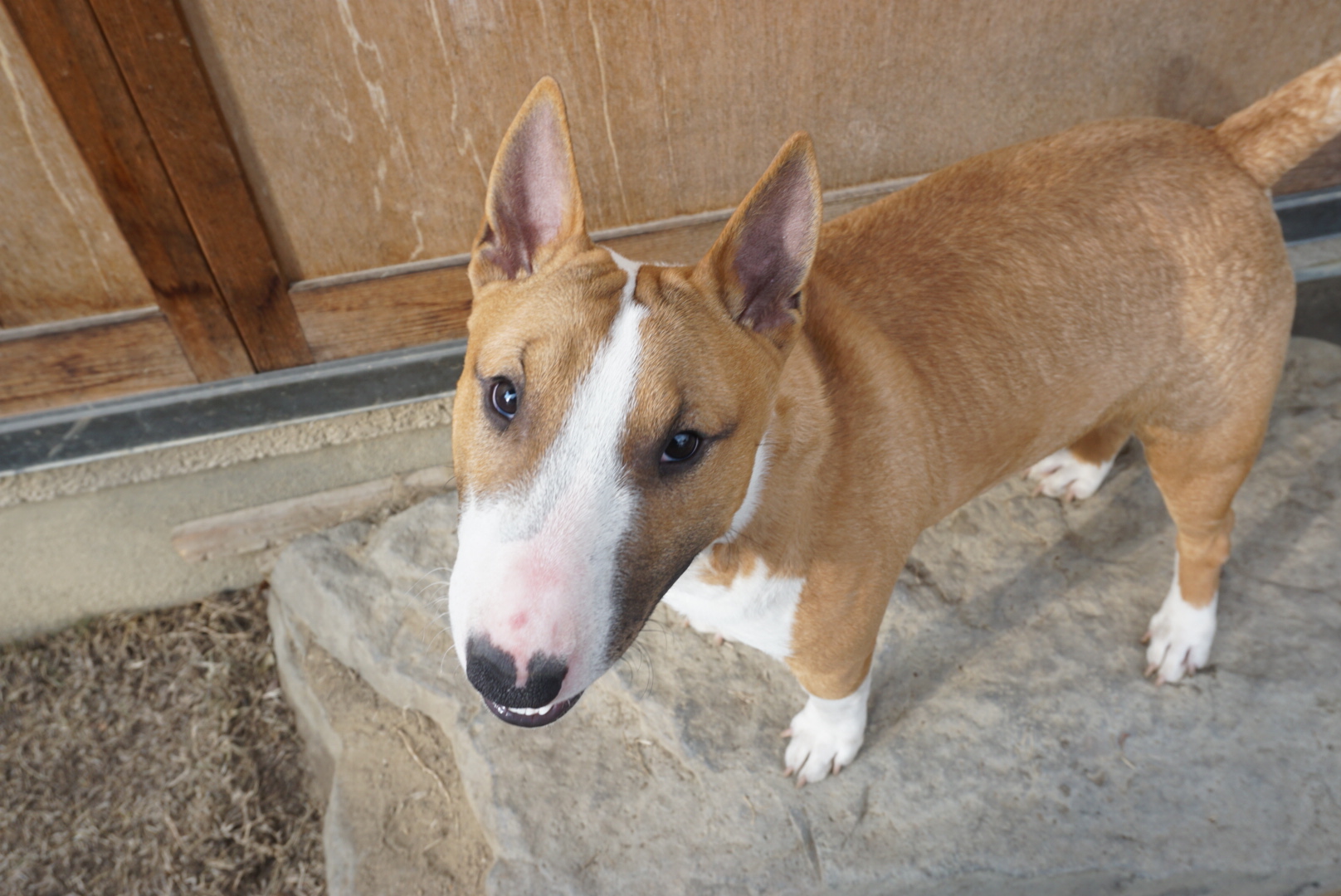 f0353904_0235285.jpg