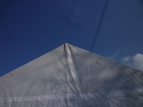 a0156611_74091.jpg