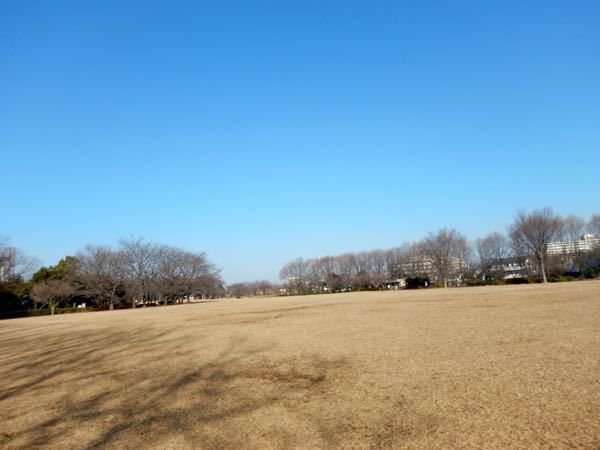 f0329311_15515623.jpg