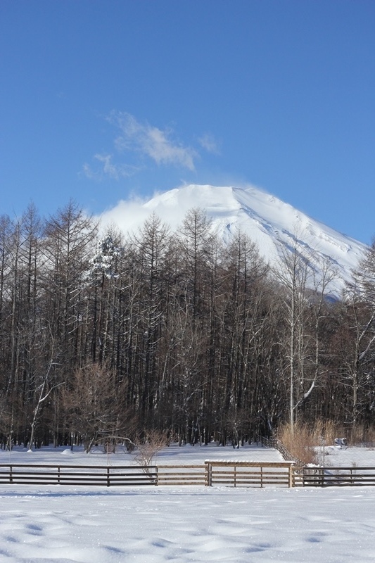 b0207615_20355284.jpg