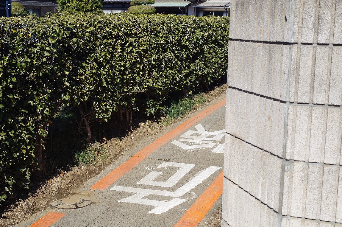 a0325232_1537119.jpg