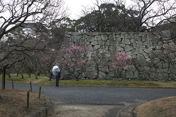 a0097735_0344169.jpg