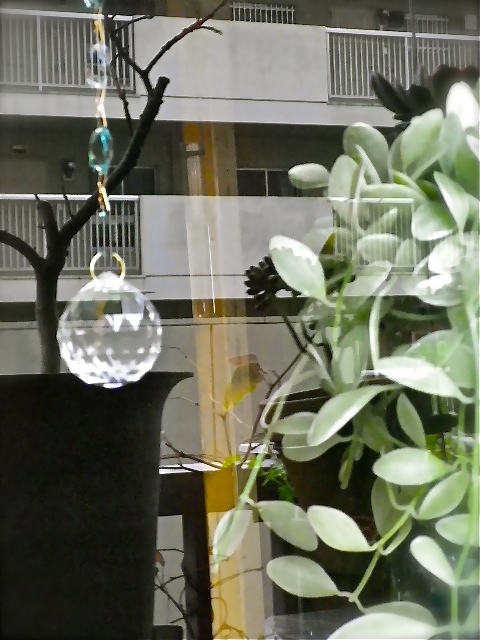 b0027736_18415691.jpg