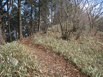 c0077338_2043855.jpg