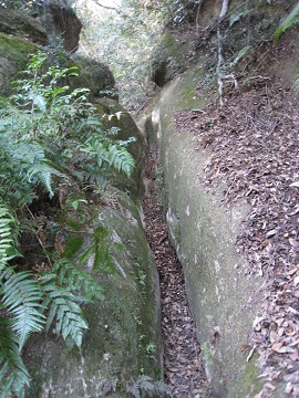 c0077338_20443788.jpg