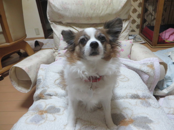 a0149240_10340640.jpg