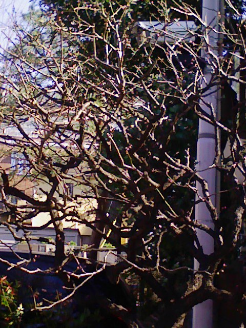 b0031140_1741778.jpg