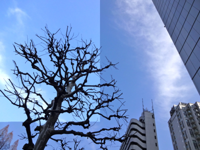 f0141840_01192673.jpg