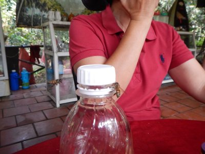d0142944_1133261.jpg
