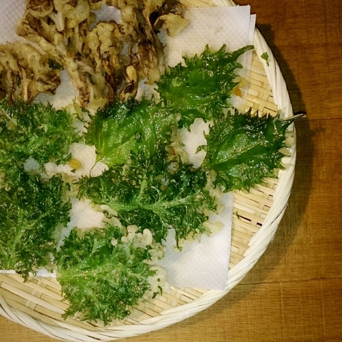 f0341250_21334613.jpg