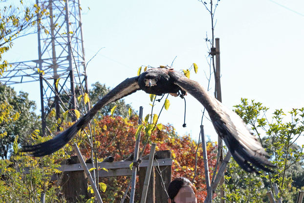 e0294253_00580504.jpg