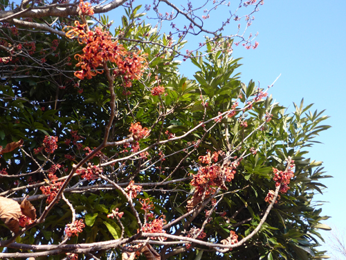 b0045357_1434499.jpg