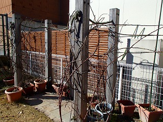 a0104162_15502116.jpg