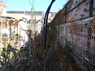 a0104162_1550324.jpg
