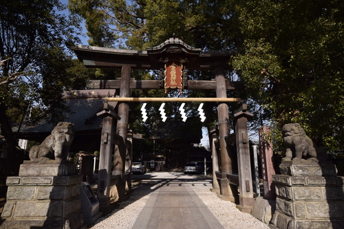 f0342371_812485.jpg