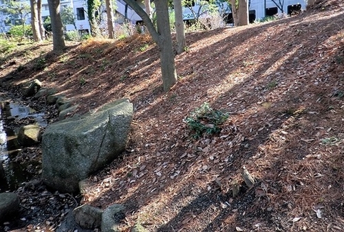 e0143690_704639.jpg